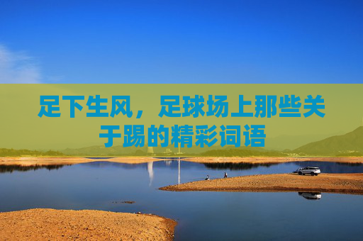足下生风,足球场上那些关于踢的精彩词语