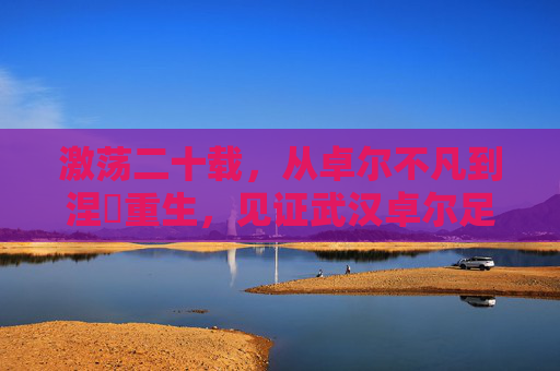 激荡二十载,从卓尔不凡到涅槃重生,见证武汉卓尔足球俱乐部的风雨兼程