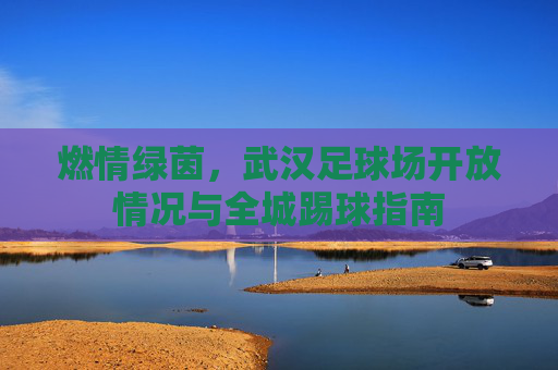 燃情绿茵,武汉足球场开放情况与全城踢球指南