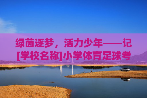 绿茵逐梦，活力少年——记[学校名称]小学体育足球考核