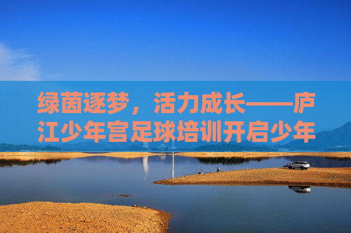 绿茵逐梦，活力成长——庐江少年宫足球培训开启少年足球梦
