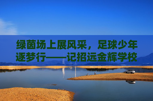 绿茵场上展风采，足球少年逐梦行——记招远金辉学校足球比赛
