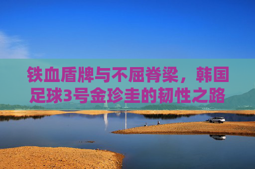铁血盾牌与不屈脊梁,韩国足球3号金珍圭的韧性之路