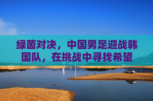 绿茵对决，中国男足迎战韩国队，在挑战中寻找希望