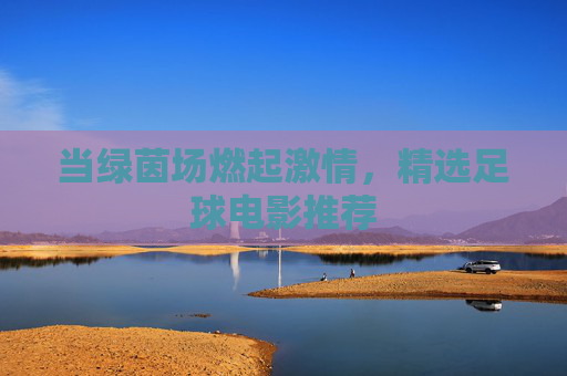 当绿茵场燃起激情,精选足球电影推荐