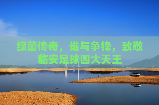 绿茵传奇,谁与争锋,致敬临安足球四大天王