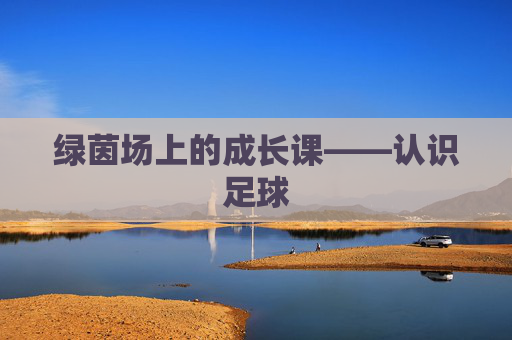 绿茵场上的成长课——认识足球
