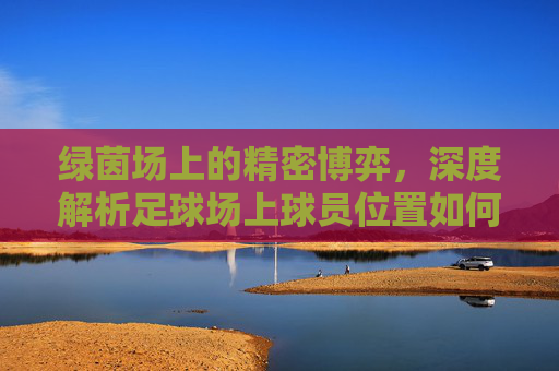 绿茵场上的精密博弈,深度解析足球场上球员位置如何分配