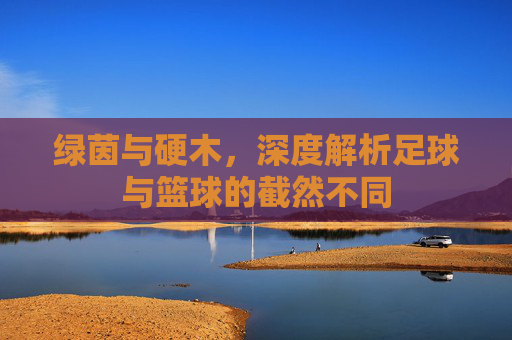 绿茵与硬木，深度解析足球与篮球的截然不同
