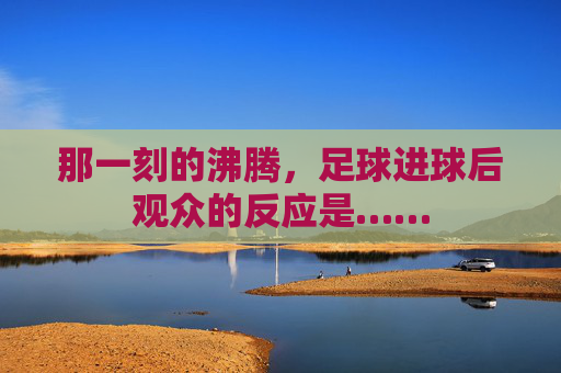 那一刻的沸腾,足球进球后观众的反应是……