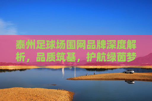 泰州足球场围网品牌深度解析,品质筑基,护航绿茵梦想