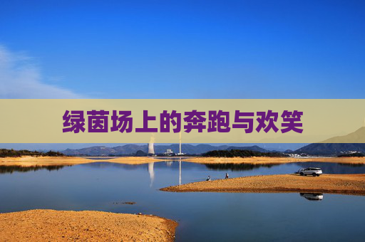绿茵场上的奔跑与欢笑