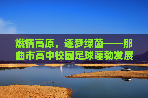 燃情高原，逐梦绿茵——那曲市高中校园足球蓬勃发展纪实