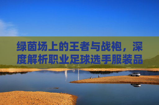 绿茵场上的王者与战袍，深度解析职业足球选手服装品牌的魅力与科技