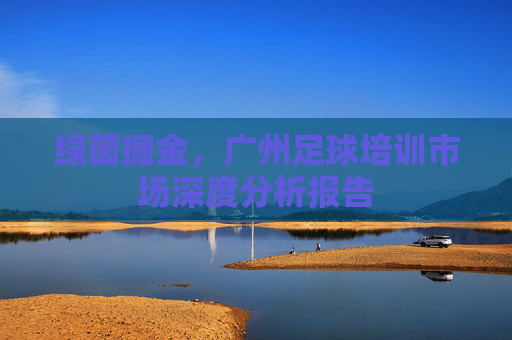 绿茵掘金，广州足球培训市场深度分析报告