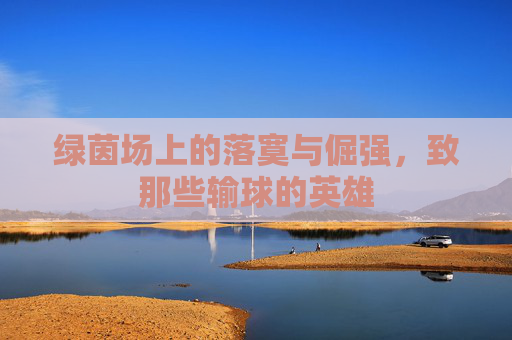 绿茵场上的落寞与倔强,致那些输球的英雄