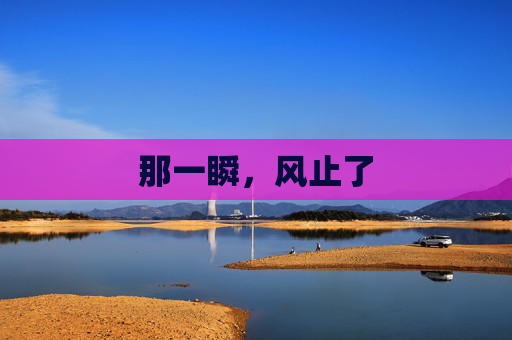 那一瞬,风止了