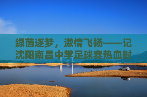 绿茵逐梦，激情飞扬——记沈阳南昌中学足球赛热血时刻