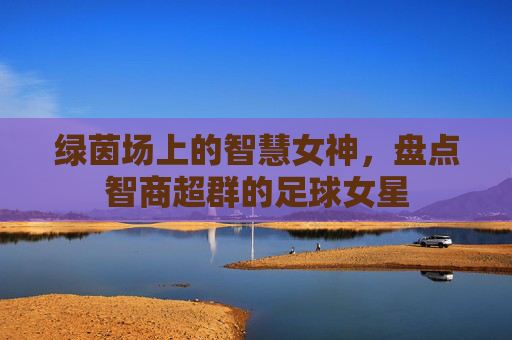 绿茵场上的智慧女神,盘点智商超群的足球女星