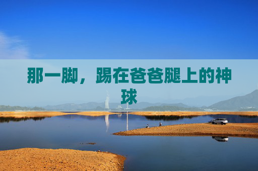 那一脚，踢在爸爸腿上的神球