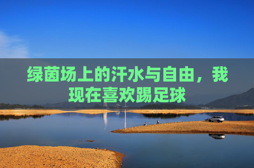 绿茵场上的汗水与自由，我现在喜欢踢足球