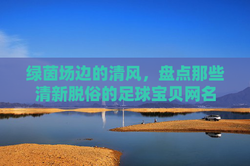绿茵场边的清风，盘点那些清新脱俗的足球宝贝网名