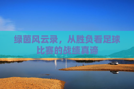 绿茵风云录,从胜负看足球比赛的战绩真谛