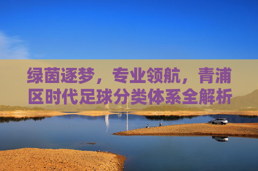 绿茵逐梦,专业领航,青浦区时代足球分类体系全解析