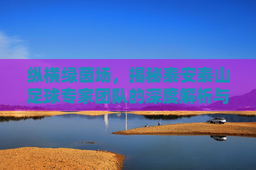 纵横绿茵场，揭秘泰安泰山足球专家团队的深度解析与实战智慧