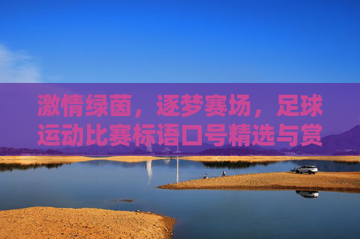 激情绿茵，逐梦赛场，足球运动比赛标语口号精选与赏析