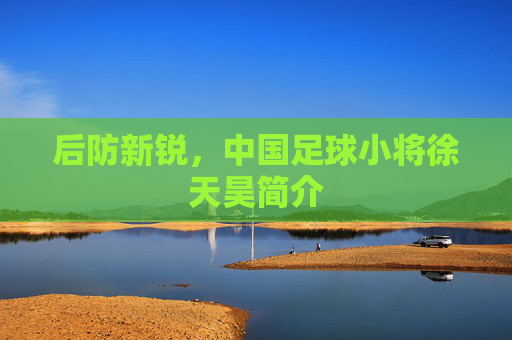 后防新锐,中国足球小将徐天昊简介
