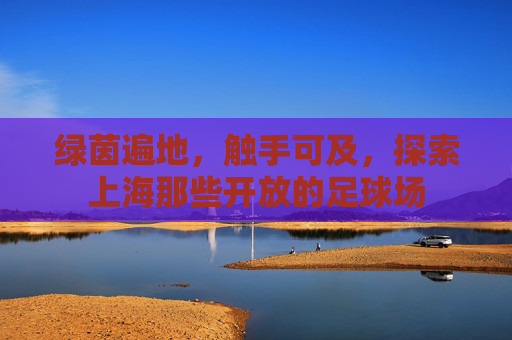 绿茵遍地，触手可及，探索上海那些开放的足球场