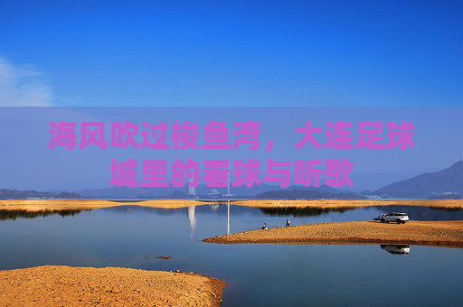 海风吹过梭鱼湾，大连足球城里的看球与听歌