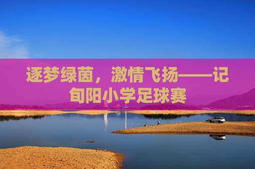 逐梦绿茵，激情飞扬——记旬阳小学足球赛