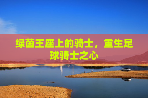 绿茵王座上的骑士，重生足球骑士之心