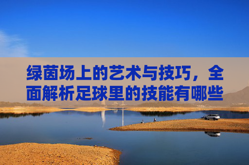 绿茵场上的艺术与技巧，全面解析足球里的技能有哪些