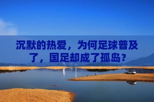 沉默的热爱,为何足球普及了,国足却成了孤岛?