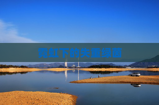 霓虹下的失重绿茵