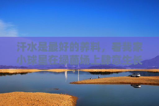 汗水是最好的养料，看我家小球星在绿茵场上肆意生长