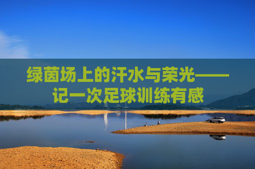 绿茵场上的汗水与荣光——记一次足球训练有感