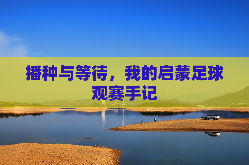 播种与等待,我的启蒙足球观赛手记