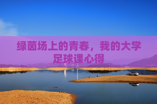 绿茵场上的青春,我的大学足球课心得