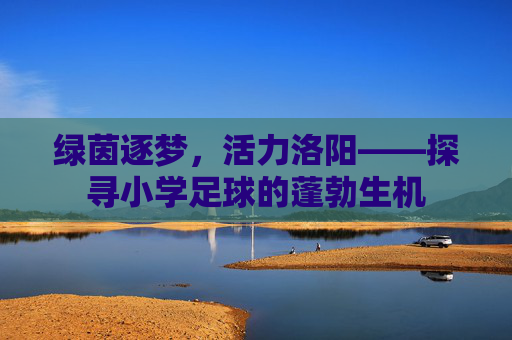 绿茵逐梦，活力洛阳——探寻小学足球的蓬勃生机