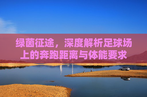 绿茵征途，深度解析足球场上的奔跑距离与体能要求