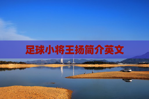 足球小将王扬简介英文