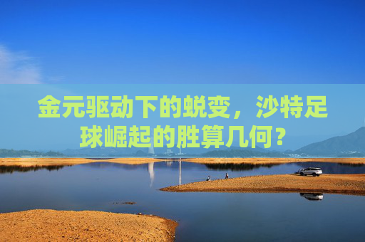 金元驱动下的蜕变,沙特足球崛起的胜算几何?