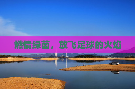 燃情绿茵，放飞足球的火焰