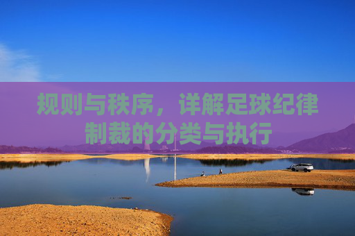 规则与秩序，详解足球纪律制裁的分类与执行