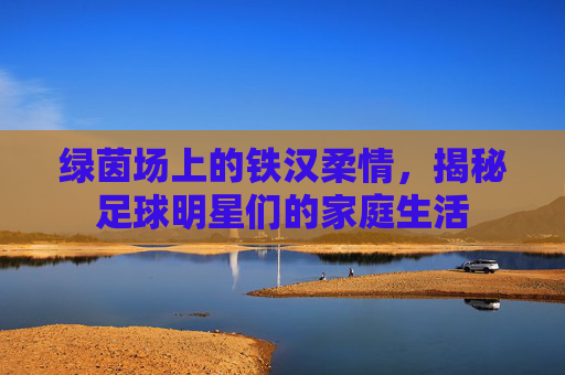 绿茵场上的铁汉柔情，揭秘足球明星们的家庭生活