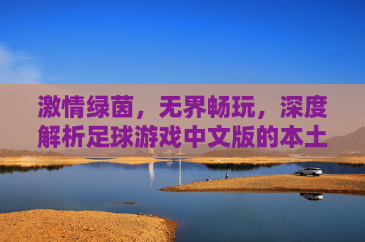 激情绿茵，无界畅玩，深度解析足球游戏中文版的本土化魅力